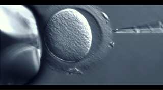 Should scientists edit a human embryo?