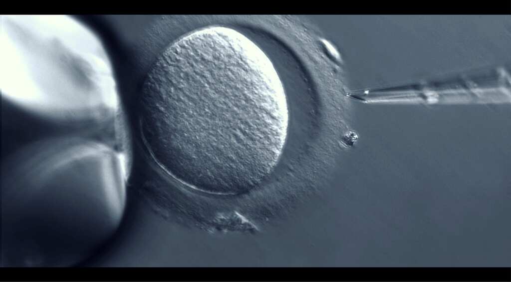 UK to increase freeze limit for eggs, sperm, embryo to 55 years from 10 now