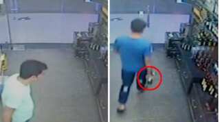 Chandigarh stalking: CCTV shows accused Vikas Barala buying alcohol before chasing Varnika's car