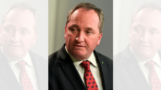 Australia deputy PM caught in dual citizenship crisis