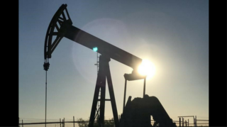 Crude palm oil futures gain 0.33 per cent