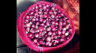 Govt reduces onion stock limit amid rising prices