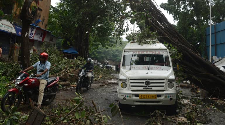 Mumbai uprooted