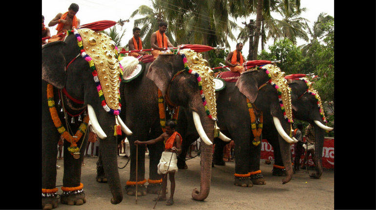 The grand elephant procession