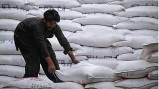 Pakistan struggles to export sugar surplus as global prices plunge