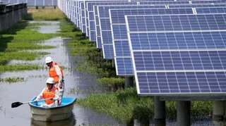 Solar panel manufacturing linked to forced labour of Uighur in Xinjiang