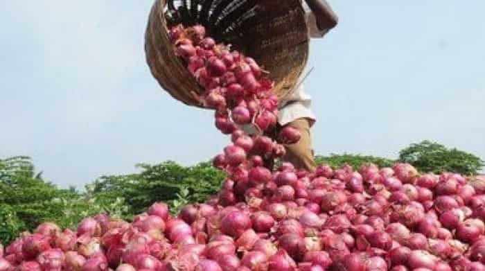 India exports 87,000 tons of onion in January-February after ban lifted