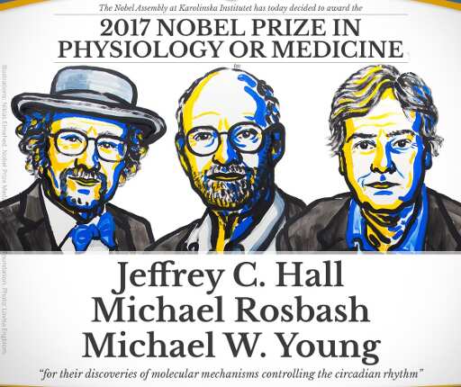 Nobel Prize in medicine: 3 Americans win for body clock studies Nobel Prize in medicine: 3 Americans win for body clock studies