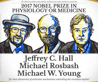 Nobel Prize in medicine: 3 Americans win for body clock studies