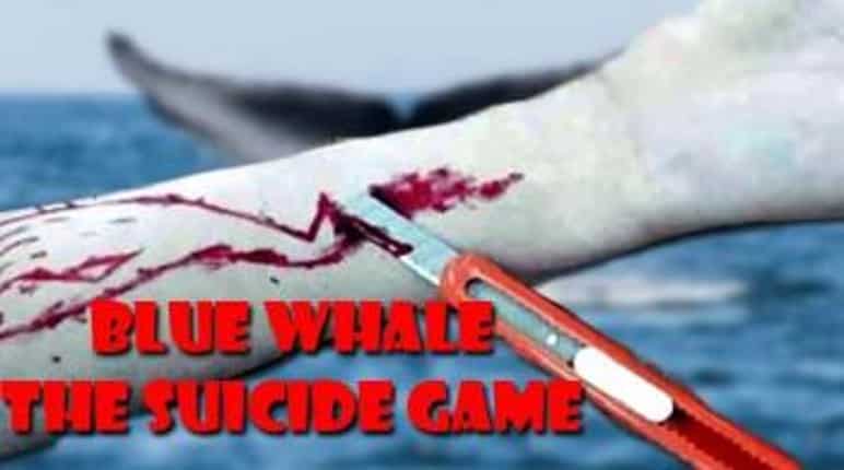 Blue Whale: Supreme Court seeks government's reply on firewalling suicide game Blue Whale: Supreme Court seeks government's reply on firewalling suicide game