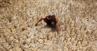 How beneficial is loan waiver scheme?