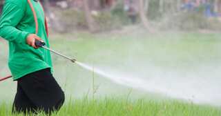 France bans two US pesticides, citing risk to bees