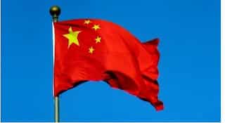 Global community should recognise Pak's efforts in fighting terrorism: China