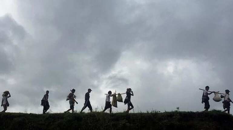 Myanmar govt harvests abandoned Rohingya fields, raising fears over refugees' return