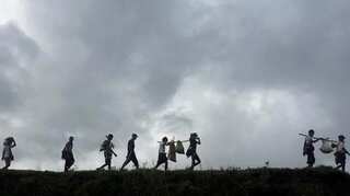 Myanmar govt harvests abandoned Rohingya fields, raising fears over refugees' return