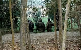 J&K: Security personnel, 2 terrorists killed in encounter in Bandipora