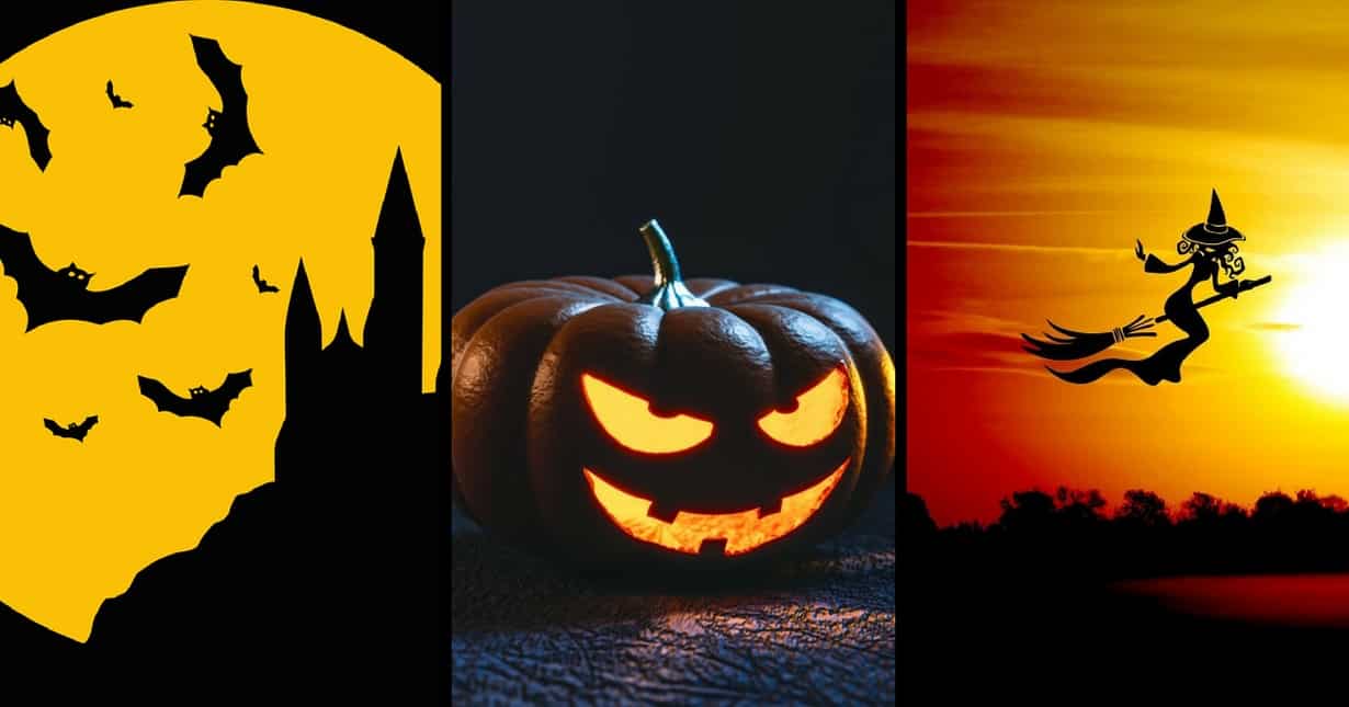 Bats, spiders and black cats