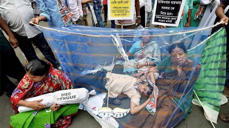 West Bengal: 11 dengue deaths in 3 days, don't panic, says Mamata West Bengal: 11 dengue deaths in 3 days, don't panic, says Mamata
