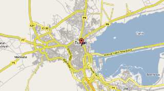 Tunisia probes deaths of 11 newborns at maternity clinic