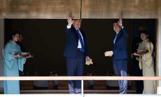 Trump throws entire fish food box into koi carp pond in Japan