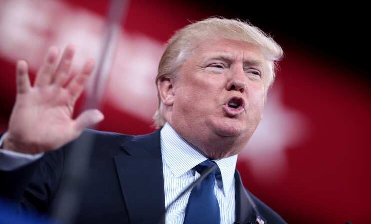 Trump says Saudi purge targets were 'milking' country Trump says Saudi purge targets were 'milking' country