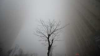 World carbon emissions set to rise 2% this year, new record: Scientists