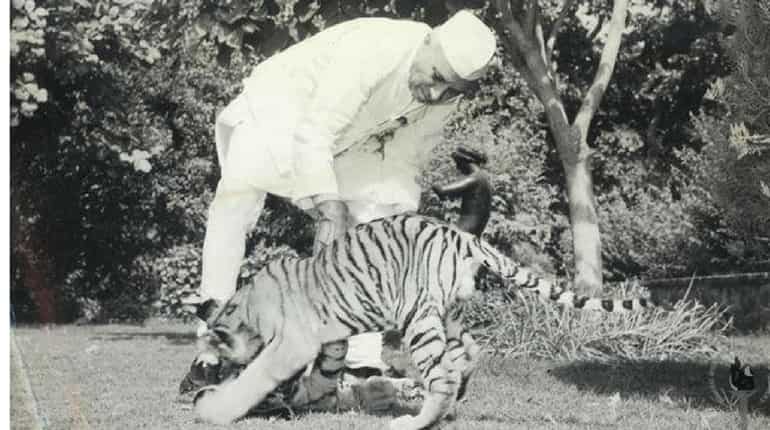 A person for the ethical treatment of animals