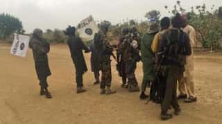 At least 50 dead after suicide bomber strikes Nigeria mosque