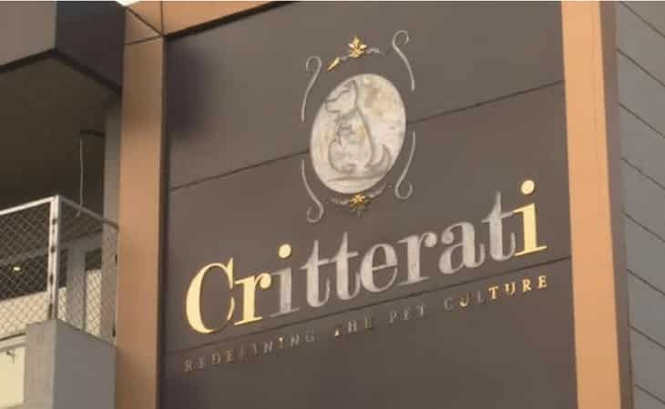 India's first luxury dog hotel redefines country's pet culture India's first luxury dog hotel redefines country's pet culture