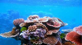 Ultra-thin sun shield could protect Great Barrier Reef