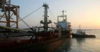 First food aid in weeks docks at rebel-held Yemen port: WFP