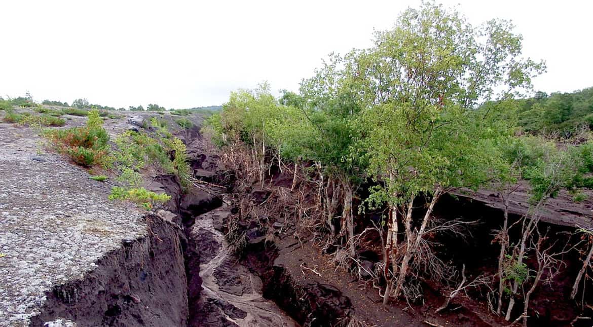 Opinion: Key to food security lies in soil conservation