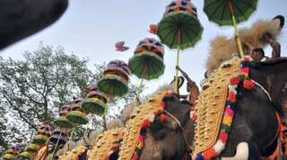 Kerala: Mahout killed, one hurt as three tuskers run amok at temple