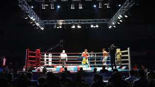 India back in World Series of Boxing from February