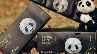 Chinese firm all set to make tissues out of panda poop