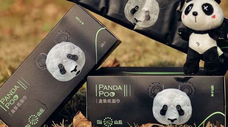 Chinese firm all set to make tissues out of panda poop