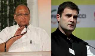 NCP says Congress did not respond to its poll tie-up call in Gujarat