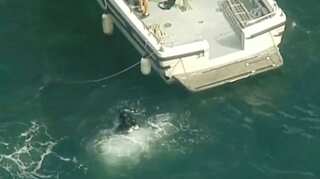 Compass Group CEO, five others dead in Sydney seaplane crash