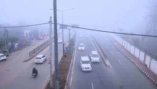 Cold wave and fog continue to grip North India