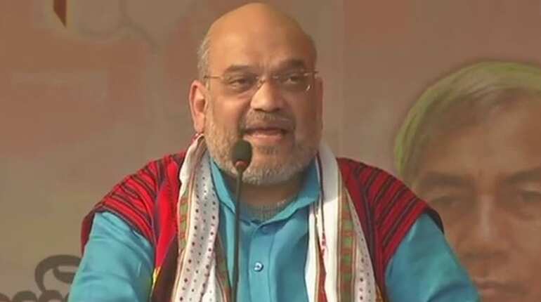 BJP will win majority of North East seats in 2019 elections: Amit Shah