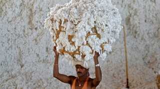 India cotton traders cancel export deals in pivot to local market: Association chief