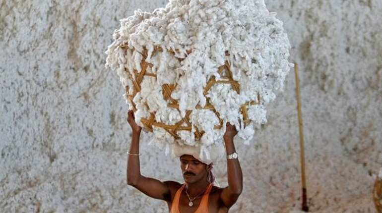 India cotton traders cancel export deals in pivot to local market: Association chief