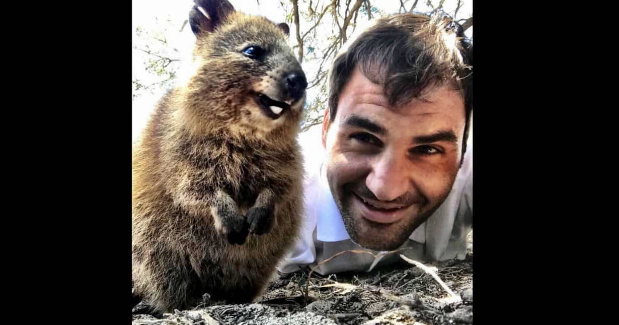 Australian Open: Tennis stars show love for animals
