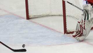 Koreas to form unified ice hockey team, march together at Winter Olympics