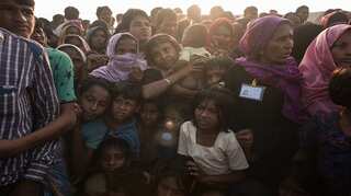Amnesty says Rohingya crisis consequence of society 'encouraged to hate'