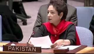 India, US, Afghanistan target Pakistan over terrorism at UNSC