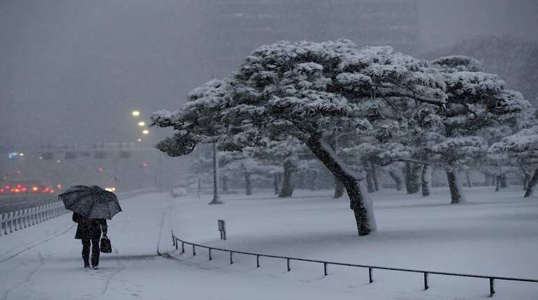 Snowstorm in Tokyo