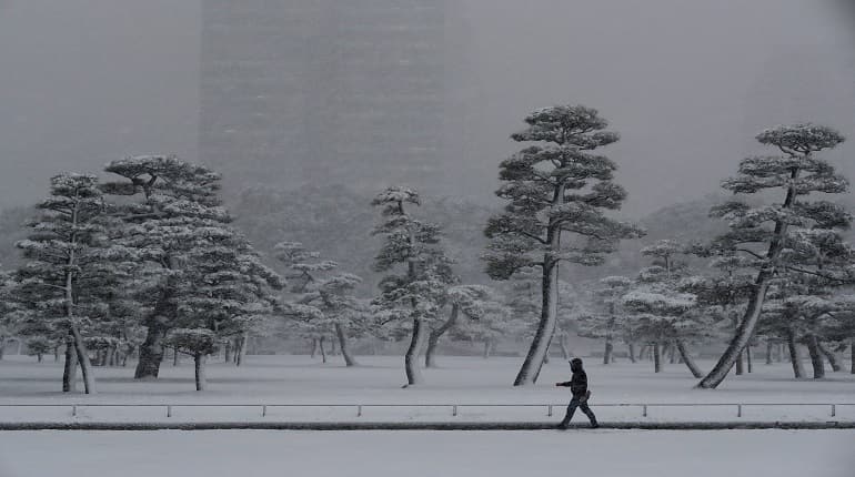 Snowstorm in Tokyo