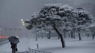 Thousands stranded, scores injured in snowbound Tokyo