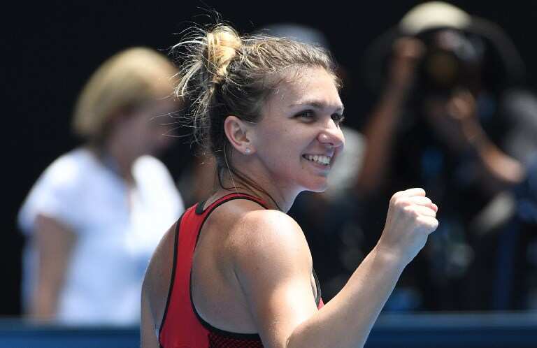 Australian Open: Simona Halep rattles Karolina Pliskova, reaches semi-finals Australian Open: Simona Halep rattles Karolina Pliskova, reaches semi-finals